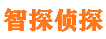 长武侦探公司